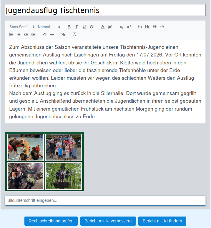 Bericht-Editor